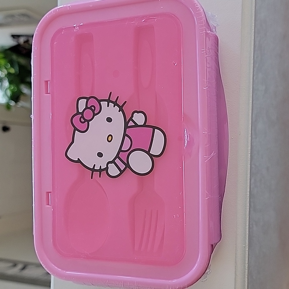 Lunch box🎁